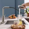 FORIOUS Single-Handle Kitchen Sink Faucet with Pull Down Sprayer Kitchen Faucet in Brushed Nickel